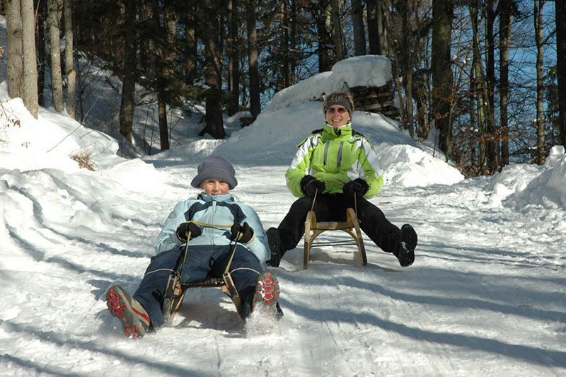 Tobogganing in Donnersbachtal