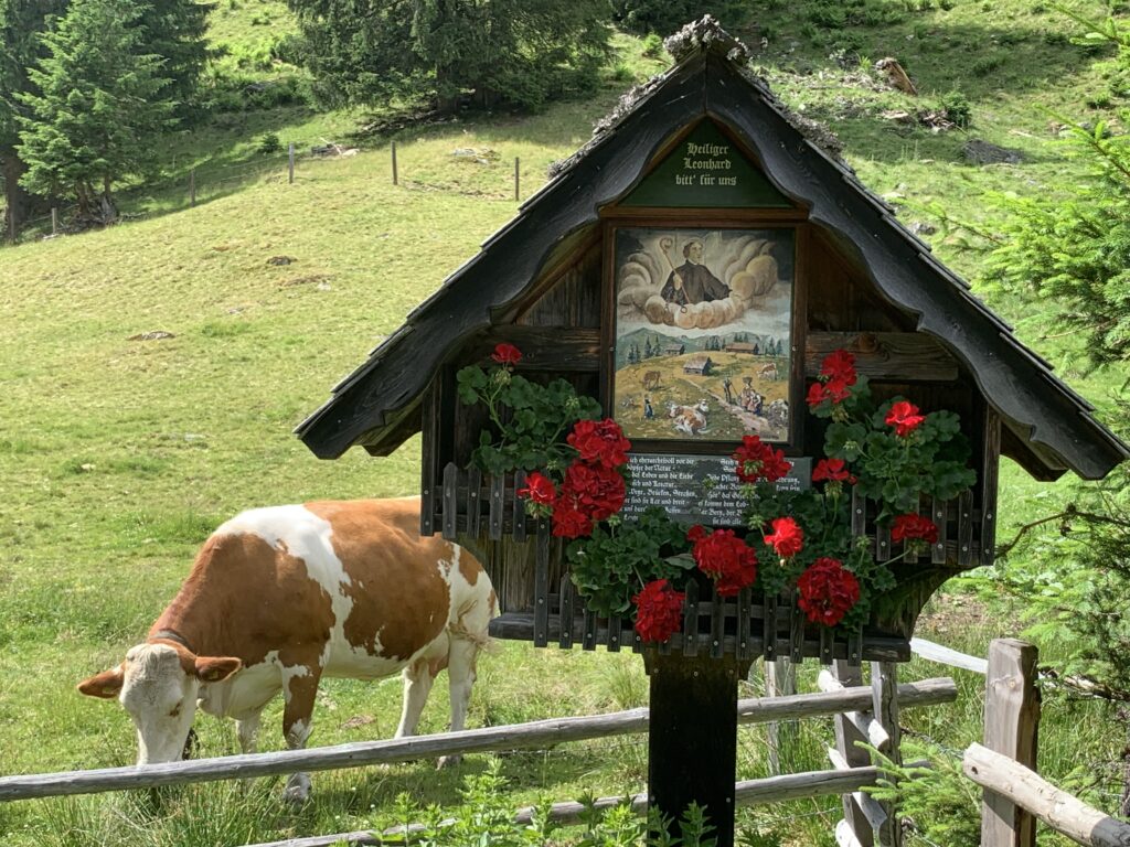 Cow at chapel at the Lärchkar Alm