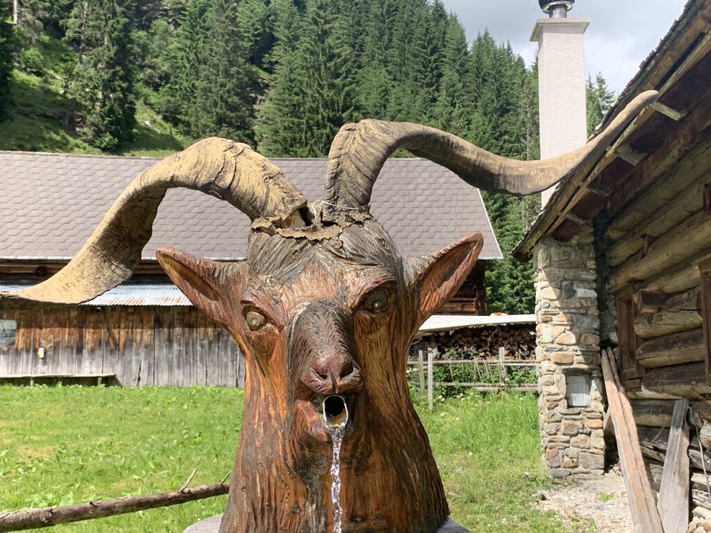 Head of ibex at the Lärchkar Alm