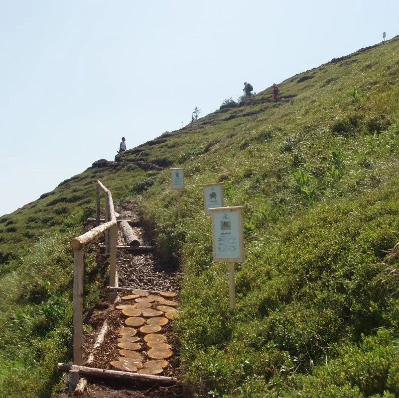 Blote voetenpad op de Riesneralm