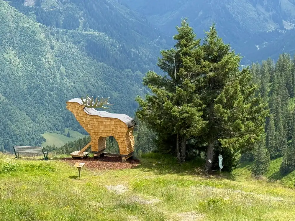 Houtendierenpark op de Riesneralm