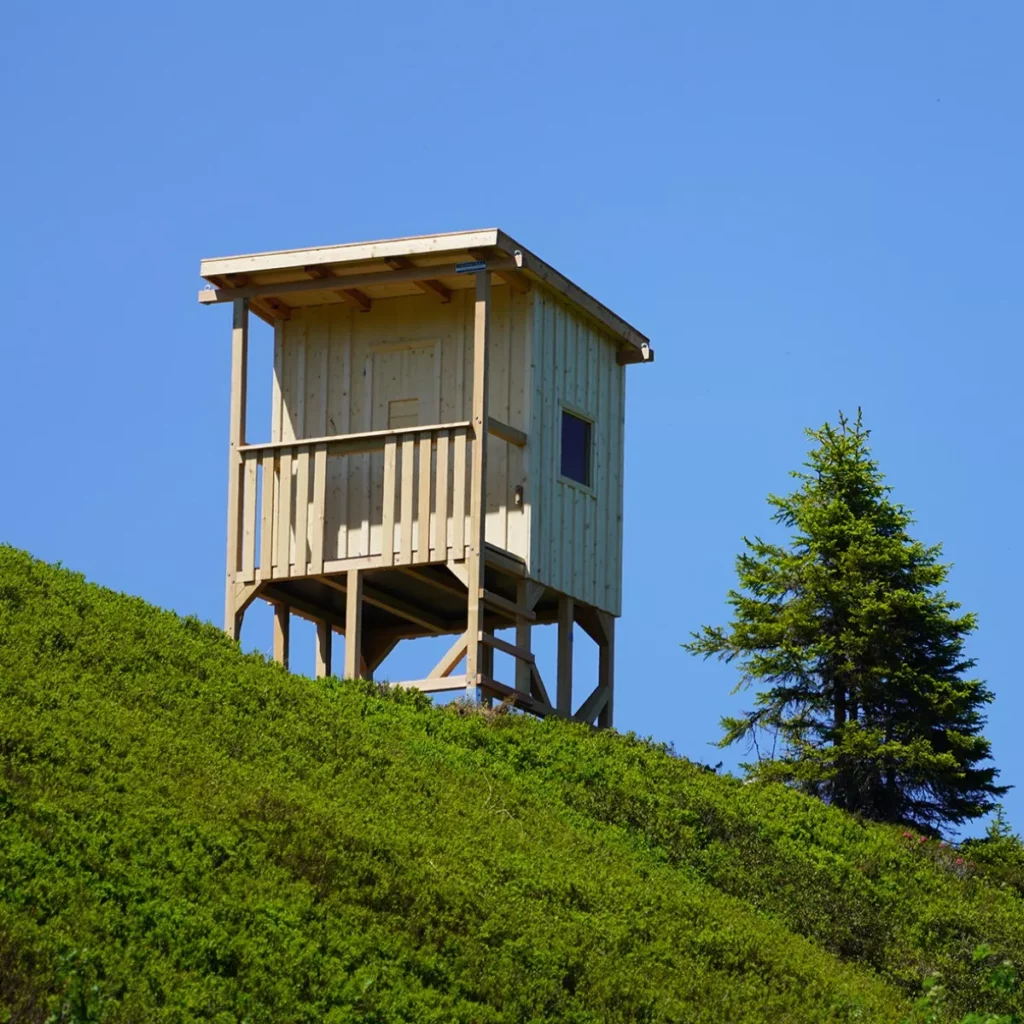 Jagasteig op de Riesneralm in Donnersbachwald