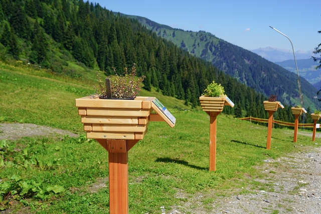 Beleef de Riesneralm in Donnersbachwald